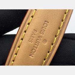 Pre Owned Louis Vuitton Brown Monogram Canvas Nano Noe Shoulder Bag