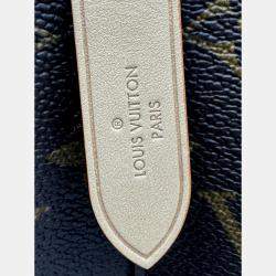 Pre Owned Louis Vuitton Neonoe BB Brown Monogram Shoulder Bag