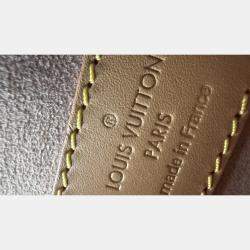 Pre Owned Louis Vuitton Side Trunk Beige Monogram Dune MM Bag