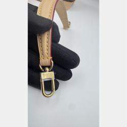 Pre Owned Louis Vuitton Nano Noe Fuschia Brown Monogram Coated Canvas Bucket Bag