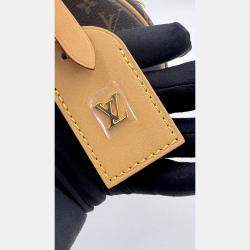 Pre Owned Louis Vuitton Petite Boite Chapeau Brown Monogram Canvas Crossbody Bag