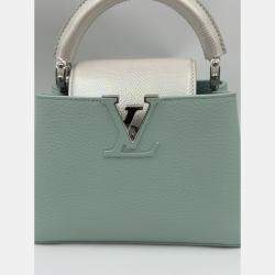 Pre Owned Louis Vuitton Mint Green Leather Mini Capucines Bag
