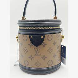 Pre Owned Louis Vuitton Brown/Black Monogram Reverse Cannes Handbag
