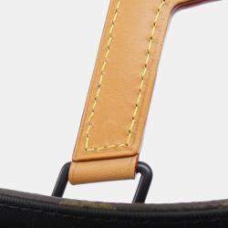 Pre Owned Louis Vuitton Damier Giant Mini Brown Coated Canvas Tote Bag