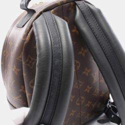 Pre Owned Louis Vuitton Palm Springs PM Brown Monogram Canvas Backpack