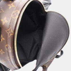 Pre Owned Louis Vuitton Palm Springs PM Brown Monogram Canvas Backpack