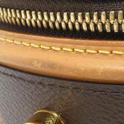 Pre Owned Louis Vuitton Cannes Monogram Giant Canvas Handbag