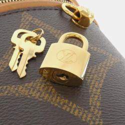 Pre Owned Louis Vuitton Cannes Monogram Giant Canvas Handbag