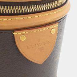 Pre Owned Louis Vuitton Cannes Monogram Giant Canvas Handbag