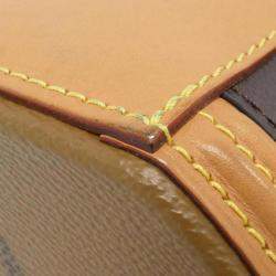 Pre Owned Louis Vuitton Cannes Monogram Giant Canvas Handbag