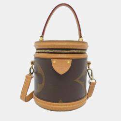 Pre Owned Louis Vuitton Cannes Monogram Giant Canvas Handbag