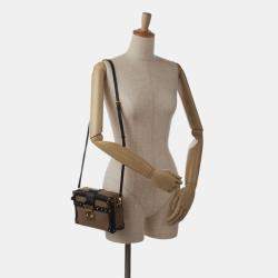 Pre Owned Louis Vuitton Black Brown Petite Malle Soft MM