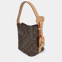 Pre Owned Louis Vuitton Monogram All-in-One BB