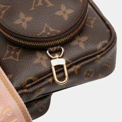 Pre Owned Louis Vuitton Brown Monogram Multi Pochette Accessoires