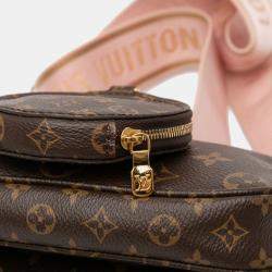 Pre Owned Louis Vuitton Brown Monogram Multi Pochette Accessoires