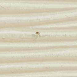 Pre Owned Louis Vuitton Ivorie Epi Leather Zippy Wallet