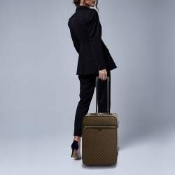 Pre Owned حقيبة لوي فيتون دامير إبيني كانفاس بيغاس 55