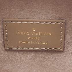 Pre Owned Louis Vuitton Taupe Grey Leather Side Trunk MM Bag