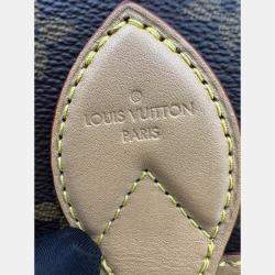 Pre Owned Louis Vuitton Diane PM Brown Monogram Canvas Shoulder Bag