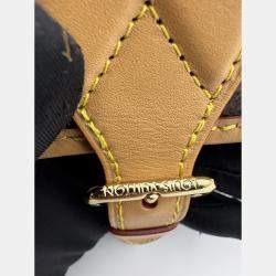 Pre Owned Louis Vuitton Diane PM Brown Monogram Canvas Shoulder Bag