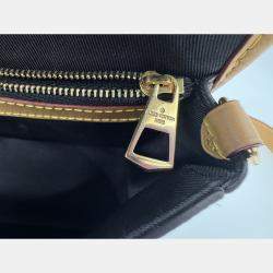 Pre Owned Louis Vuitton Diane PM Brown Monogram Canvas Shoulder Bag