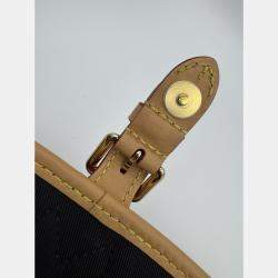 Pre Owned Louis Vuitton Diane PM Brown Monogram Canvas Shoulder Bag