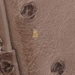 Pre Owned Louis Vuitton Gris Ostrich Alma GM Bag