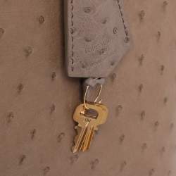 Pre Owned Louis Vuitton Gris Ostrich Alma GM Bag
