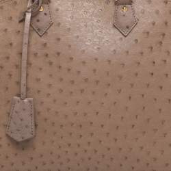 Pre Owned Louis Vuitton Gris Ostrich Alma GM Bag