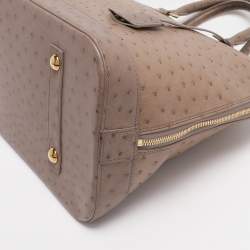 Pre Owned Louis Vuitton Gris Ostrich Alma GM Bag