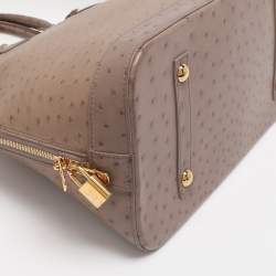 Pre Owned Louis Vuitton Gris Ostrich Alma GM Bag