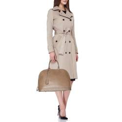 Pre Owned Louis Vuitton Gris Ostrich Alma GM Bag
