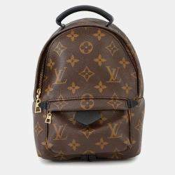 Pre Owned Louis Vuitton Palm Springs Brown Monogram Mini Backpack 