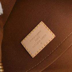 Pre Owned Louis Vuitton Monogram Thames PM Hobo Handbag M56384 MI4029