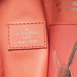 Pre Owned Louis Vuitton Masters Da Vinci Palm Springs Backpack