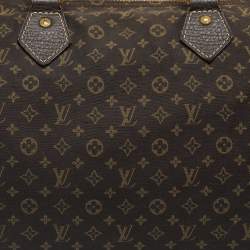 Pre Owned Louis Vuitton Fusain Monogram Mini Lin Canvas Speedy 30 Bag