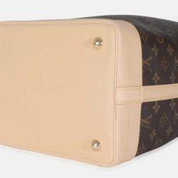 Pre Owned Louis Vuitton Brown Monogram Canvas Noe NM
