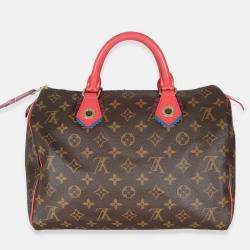 Pre Owned Louis Vuitton Flamingo Monogram Canvas Totem Speedy 30