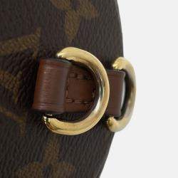 Pre Owned Louis Vuitton Papillon Trunk Brown Monogram