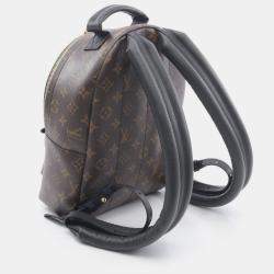 Pre Owned Louis Vuitton Palm Springs Brown/Black Monogram Coated Canvas Leather PM Backpack 