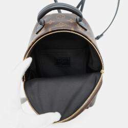 Pre Owned Louis Vuitton Monogram Palm Springs Backpack Mini