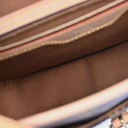 Pre Owned Louis Vuitton Monogram Sologne Shoulder Bag