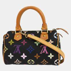 Pre Owned Louis Vuitton Multicolor Mini Speedy 2way Handbag