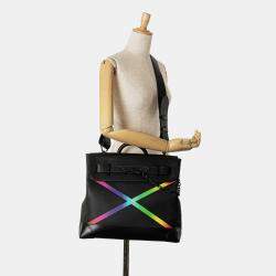 Pre Owned Louis Vuitton Black Taiga Rainbow Steamer PM