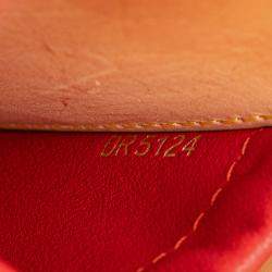 Pre Owned Louis Vuitton Brown Christian Louboutin Monogram Iconoclast Tote
