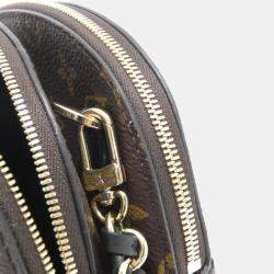 Pre Owned Louis Vuitton Brown Monogram Bee Alma Chain Shoulder Bag