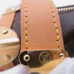 Pre Owned Louis Vuitton Side Trunk Brown Monogram PM