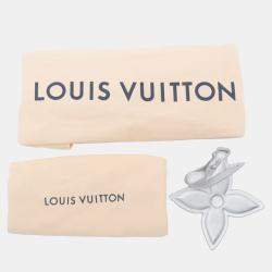 Pre Owned Louis Vuitton Grey/Silver Monogram Nylon Gradient Speedy Bandouliere 25