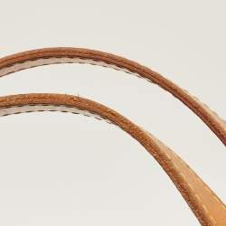 مملوكة مسبقًا حقيبة لوي فيتون ستريسا PM كانفاس داميير أزور