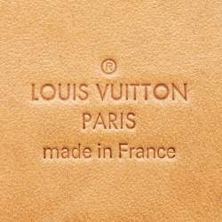 مملوكة مسبقًا حقيبة لوي فيتون ستريسا PM كانفاس داميير أزور